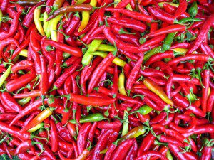 Capsicum_frutescens-fast-weight-loss