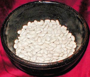 navy beans calcium