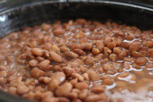 pinto-beans