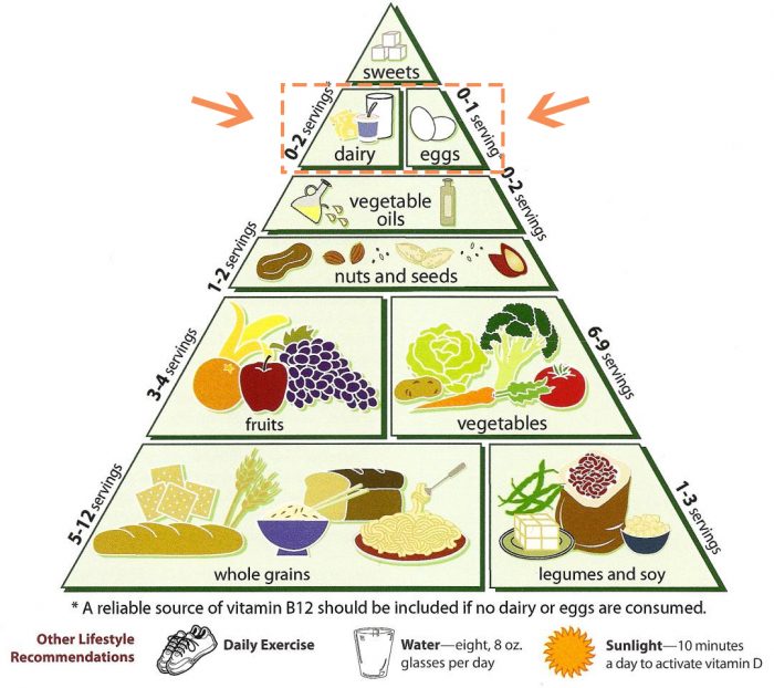 The difference between a vegan and vegetarian... Image of the food pyramid sans meat.