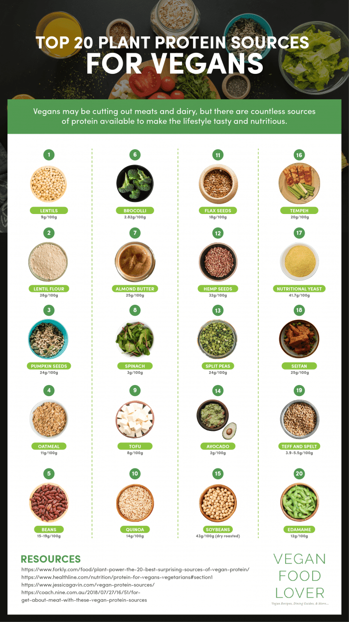 Top 20 Plant Protein Sources for Vegans